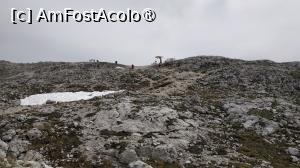 [P34]  -- <small>// FĂRĂ DESCRIERE</small> » foto by elenaadina
 - 
<span class="allrVoted glyphicon glyphicon-heart hidden" id="av1510823"></span>
<a class="m-l-10 hidden" id="sv1510823" onclick="voting_Foto_DelVot(,1510823,2211)" role="button">șterge vot <span class="glyphicon glyphicon-remove"></span></a>
<a id="v91510823" class=" c-red"  onclick="voting_Foto_SetVot(1510823)" role="button"><span class="glyphicon glyphicon-heart-empty"></span> <b>LIKE</b> = Votează poza</a> <img class="hidden"  id="f1510823W9" src="/imagini/loader.gif" border="0" /><span class="AjErrMes hidden" id="e1510823ErM"></span>