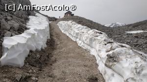 [P39] spre Rifugio Franz Kostner al Vallon » foto by elenaadina
 - 
<span class="allrVoted glyphicon glyphicon-heart hidden" id="av1510828"></span>
<a class="m-l-10 hidden" id="sv1510828" onclick="voting_Foto_DelVot(,1510828,2211)" role="button">șterge vot <span class="glyphicon glyphicon-remove"></span></a>
<a id="v91510828" class=" c-red"  onclick="voting_Foto_SetVot(1510828)" role="button"><span class="glyphicon glyphicon-heart-empty"></span> <b>LIKE</b> = Votează poza</a> <img class="hidden"  id="f1510828W9" src="/imagini/loader.gif" border="0" /><span class="AjErrMes hidden" id="e1510828ErM"></span>