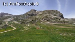 [P58]  -- <small>// FĂRĂ DESCRIERE</small> » foto by elenaadina
 - 
<span class="allrVoted glyphicon glyphicon-heart hidden" id="av1510847"></span>
<a class="m-l-10 hidden" id="sv1510847" onclick="voting_Foto_DelVot(,1510847,2211)" role="button">șterge vot <span class="glyphicon glyphicon-remove"></span></a>
<a id="v91510847" class=" c-red"  onclick="voting_Foto_SetVot(1510847)" role="button"><span class="glyphicon glyphicon-heart-empty"></span> <b>LIKE</b> = Votează poza</a> <img class="hidden"  id="f1510847W9" src="/imagini/loader.gif" border="0" /><span class="AjErrMes hidden" id="e1510847ErM"></span>