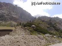[P09]  -- <small>// FĂRĂ DESCRIERE</small> » foto by Alina Morar
 - 
<span class="allrVoted glyphicon glyphicon-heart hidden" id="av67662"></span>
<a class="m-l-10 hidden" id="sv67662" onclick="voting_Foto_DelVot(,67662,2211)" role="button">șterge vot <span class="glyphicon glyphicon-remove"></span></a>
<a id="v967662" class=" c-red"  onclick="voting_Foto_SetVot(67662)" role="button"><span class="glyphicon glyphicon-heart-empty"></span> <b>LIKE</b> = Votează poza</a> <img class="hidden"  id="f67662W9" src="/imagini/loader.gif" border="0" /><span class="AjErrMes hidden" id="e67662ErM"></span>