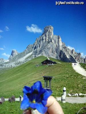 [P02] Unora le place natura. 
Passo di Giau in toata splendoarea » foto by claudiu 71
 - 
<span class="allrVoted glyphicon glyphicon-heart hidden" id="av674319"></span>
<a class="m-l-10 hidden" id="sv674319" onclick="voting_Foto_DelVot(,674319,2211)" role="button">șterge vot <span class="glyphicon glyphicon-remove"></span></a>
<a id="v9674319" class=" c-red"  onclick="voting_Foto_SetVot(674319)" role="button"><span class="glyphicon glyphicon-heart-empty"></span> <b>LIKE</b> = Votează poza</a> <img class="hidden"  id="f674319W9" src="/imagini/loader.gif" border="0" /><span class="AjErrMes hidden" id="e674319ErM"></span>