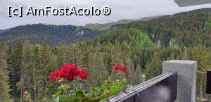 [P13] vedere de la balcon » foto by Florin Z
 - 
<span class="allrVoted glyphicon glyphicon-heart hidden" id="av1241983"></span>
<a class="m-l-10 hidden" id="sv1241983" onclick="voting_Foto_DelVot(,1241983,2220)" role="button">șterge vot <span class="glyphicon glyphicon-remove"></span></a>
<a id="v91241983" class=" c-red"  onclick="voting_Foto_SetVot(1241983)" role="button"><span class="glyphicon glyphicon-heart-empty"></span> <b>LIKE</b> = Votează poza</a> <img class="hidden"  id="f1241983W9" src="/imagini/loader.gif" border="0" /><span class="AjErrMes hidden" id="e1241983ErM"></span>