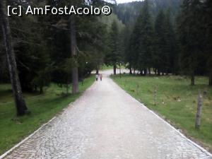 [P04] Aleea de acces spre hotel, in jos fiind Ialomita iar la stanga drumul spre Manastiarea si Pestera Ialomitei » foto by Albinoium
 - 
<span class="allrVoted glyphicon glyphicon-heart hidden" id="av742814"></span>
<a class="m-l-10 hidden" id="sv742814" onclick="voting_Foto_DelVot(,742814,2220)" role="button">șterge vot <span class="glyphicon glyphicon-remove"></span></a>
<a id="v9742814" class=" c-red"  onclick="voting_Foto_SetVot(742814)" role="button"><span class="glyphicon glyphicon-heart-empty"></span> <b>LIKE</b> = Votează poza</a> <img class="hidden"  id="f742814W9" src="/imagini/loader.gif" border="0" /><span class="AjErrMes hidden" id="e742814ErM"></span>