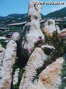 [P04] de aici incepe Costa Paradiso , cu multe plaje inconjurate de stanci si multe asezari turistice , in aceasta poza in spate se pot vedea cateva vile, in general discrete nefacand nota aparte fata de peisajul inconjurator » foto by Cristian_h
 - 
<span class="allrVoted glyphicon glyphicon-heart hidden" id="av56121"></span>
<a class="m-l-10 hidden" id="sv56121" onclick="voting_Foto_DelVot(,56121,2225)" role="button">șterge vot <span class="glyphicon glyphicon-remove"></span></a>
<a id="v956121" class=" c-red"  onclick="voting_Foto_SetVot(56121)" role="button"><span class="glyphicon glyphicon-heart-empty"></span> <b>LIKE</b> = Votează poza</a> <img class="hidden"  id="f56121W9" src="/imagini/loader.gif" border="0" /><span class="AjErrMes hidden" id="e56121ErM"></span>