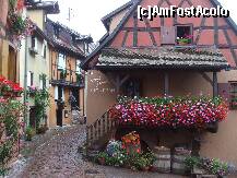 [P20]  -- <small>// FĂRĂ DESCRIERE</small> » foto by Cristian_h
 - 
<span class="allrVoted glyphicon glyphicon-heart hidden" id="av256121"></span>
<a class="m-l-10 hidden" id="sv256121" onclick="voting_Foto_DelVot(,256121,2237)" role="button">șterge vot <span class="glyphicon glyphicon-remove"></span></a>
<a id="v9256121" class=" c-red"  onclick="voting_Foto_SetVot(256121)" role="button"><span class="glyphicon glyphicon-heart-empty"></span> <b>LIKE</b> = Votează poza</a> <img class="hidden"  id="f256121W9" src="/imagini/loader.gif" border="0" /><span class="AjErrMes hidden" id="e256121ErM"></span>