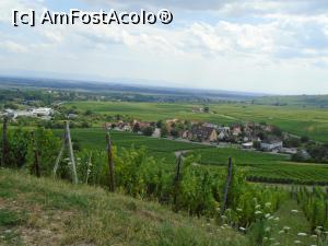 [P55] Cu trenulețul turistic prin vii - panorama Riquewihrului » foto by Carmen Ion
 - 
<span class="allrVoted glyphicon glyphicon-heart hidden" id="av1131968"></span>
<a class="m-l-10 hidden" id="sv1131968" onclick="voting_Foto_DelVot(,1131968,2237)" role="button">șterge vot <span class="glyphicon glyphicon-remove"></span></a>
<a id="v91131968" class=" c-red"  onclick="voting_Foto_SetVot(1131968)" role="button"><span class="glyphicon glyphicon-heart-empty"></span> <b>LIKE</b> = Votează poza</a> <img class="hidden"  id="f1131968W9" src="/imagini/loader.gif" border="0" /><span class="AjErrMes hidden" id="e1131968ErM"></span>