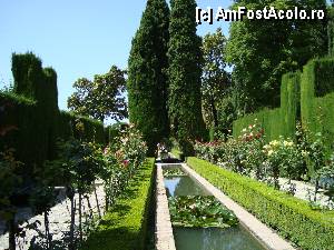 [P10] NUFERI CE RAD IN APA IN GRADINILE GENERALIFE SI TRANDAFIRI CE STRAJUIESC Digul de apa » foto by mireille
 - 
<span class="allrVoted glyphicon glyphicon-heart hidden" id="av415411"></span>
<a class="m-l-10 hidden" id="sv415411" onclick="voting_Foto_DelVot(,415411,2240)" role="button">șterge vot <span class="glyphicon glyphicon-remove"></span></a>
<a id="v9415411" class=" c-red"  onclick="voting_Foto_SetVot(415411)" role="button"><span class="glyphicon glyphicon-heart-empty"></span> <b>LIKE</b> = Votează poza</a> <img class="hidden"  id="f415411W9" src="/imagini/loader.gif" border="0" /><span class="AjErrMes hidden" id="e415411ErM"></span>