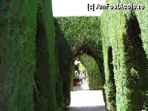 [P15] Sublima poarta si un labirint pentru sultane » foto by mireille
 - 
<span class="allrVoted glyphicon glyphicon-heart hidden" id="av415419"></span>
<a class="m-l-10 hidden" id="sv415419" onclick="voting_Foto_DelVot(,415419,2240)" role="button">șterge vot <span class="glyphicon glyphicon-remove"></span></a>
<a id="v9415419" class=" c-red"  onclick="voting_Foto_SetVot(415419)" role="button"><span class="glyphicon glyphicon-heart-empty"></span> <b>LIKE</b> = Votează poza</a> <img class="hidden"  id="f415419W9" src="/imagini/loader.gif" border="0" /><span class="AjErrMes hidden" id="e415419ErM"></span>