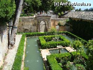 [P21] Chiparosul cu dorinte ce plange de batranete » foto by mireille
 - 
<span class="allrVoted glyphicon glyphicon-heart hidden" id="av415428"></span>
<a class="m-l-10 hidden" id="sv415428" onclick="voting_Foto_DelVot(,415428,2240)" role="button">șterge vot <span class="glyphicon glyphicon-remove"></span></a>
<a id="v9415428" class=" c-red"  onclick="voting_Foto_SetVot(415428)" role="button"><span class="glyphicon glyphicon-heart-empty"></span> <b>LIKE</b> = Votează poza</a> <img class="hidden"  id="f415428W9" src="/imagini/loader.gif" border="0" /><span class="AjErrMes hidden" id="e415428ErM"></span>