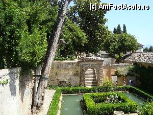 [P22] Srigat de durere al chiparosului » foto by mireille
 - 
<span class="allrVoted glyphicon glyphicon-heart hidden" id="av415429"></span>
<a class="m-l-10 hidden" id="sv415429" onclick="voting_Foto_DelVot(,415429,2240)" role="button">șterge vot <span class="glyphicon glyphicon-remove"></span></a>
<a id="v9415429" class=" c-red"  onclick="voting_Foto_SetVot(415429)" role="button"><span class="glyphicon glyphicon-heart-empty"></span> <b>LIKE</b> = Votează poza</a> <img class="hidden"  id="f415429W9" src="/imagini/loader.gif" border="0" /><span class="AjErrMes hidden" id="e415429ErM"></span>