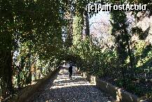 [P43] Aleea Chiparoşilor » foto by Costi
 - 
<span class="allrVoted glyphicon glyphicon-heart hidden" id="av230317"></span>
<a class="m-l-10 hidden" id="sv230317" onclick="voting_Foto_DelVot(,230317,2240)" role="button">șterge vot <span class="glyphicon glyphicon-remove"></span></a>
<a id="v9230317" class=" c-red"  onclick="voting_Foto_SetVot(230317)" role="button"><span class="glyphicon glyphicon-heart-empty"></span> <b>LIKE</b> = Votează poza</a> <img class="hidden"  id="f230317W9" src="/imagini/loader.gif" border="0" /><span class="AjErrMes hidden" id="e230317ErM"></span>