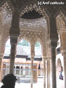[P10] Granada- Alhambra, curtea mirtului(in renovare) » foto by Michi
 - 
<span class="allrVoted glyphicon glyphicon-heart hidden" id="av74897"></span>
<a class="m-l-10 hidden" id="sv74897" onclick="voting_Foto_DelVot(,74897,2240)" role="button">șterge vot <span class="glyphicon glyphicon-remove"></span></a>
<a id="v974897" class=" c-red"  onclick="voting_Foto_SetVot(74897)" role="button"><span class="glyphicon glyphicon-heart-empty"></span> <b>LIKE</b> = Votează poza</a> <img class="hidden"  id="f74897W9" src="/imagini/loader.gif" border="0" /><span class="AjErrMes hidden" id="e74897ErM"></span>