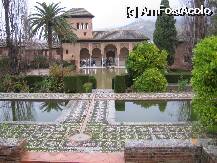 [P16] Granada- palatul vazut din gradinile Generalife. » foto by Michi
 - 
<span class="allrVoted glyphicon glyphicon-heart hidden" id="av74903"></span>
<a class="m-l-10 hidden" id="sv74903" onclick="voting_Foto_DelVot(,74903,2240)" role="button">șterge vot <span class="glyphicon glyphicon-remove"></span></a>
<a id="v974903" class=" c-red"  onclick="voting_Foto_SetVot(74903)" role="button"><span class="glyphicon glyphicon-heart-empty"></span> <b>LIKE</b> = Votează poza</a> <img class="hidden"  id="f74903W9" src="/imagini/loader.gif" border="0" /><span class="AjErrMes hidden" id="e74903ErM"></span>