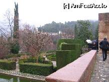 [P17] Granada- spre palatul Alcazaba prin gradinile Generalife. » foto by Michi
 - 
<span class="allrVoted glyphicon glyphicon-heart hidden" id="av74904"></span>
<a class="m-l-10 hidden" id="sv74904" onclick="voting_Foto_DelVot(,74904,2240)" role="button">șterge vot <span class="glyphicon glyphicon-remove"></span></a>
<a id="v974904" class=" c-red"  onclick="voting_Foto_SetVot(74904)" role="button"><span class="glyphicon glyphicon-heart-empty"></span> <b>LIKE</b> = Votează poza</a> <img class="hidden"  id="f74904W9" src="/imagini/loader.gif" border="0" /><span class="AjErrMes hidden" id="e74904ErM"></span>