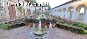 [P09] Palatul Generalife, Patio de la Sultana » foto by irinad
 - 
<span class="allrVoted glyphicon glyphicon-heart hidden" id="av1428979"></span>
<a class="m-l-10 hidden" id="sv1428979" onclick="voting_Foto_DelVot(,1428979,2240)" role="button">șterge vot <span class="glyphicon glyphicon-remove"></span></a>
<a id="v91428979" class=" c-red"  onclick="voting_Foto_SetVot(1428979)" role="button"><span class="glyphicon glyphicon-heart-empty"></span> <b>LIKE</b> = Votează poza</a> <img class="hidden"  id="f1428979W9" src="/imagini/loader.gif" border="0" /><span class="AjErrMes hidden" id="e1428979ErM"></span>