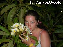 [P10]  -- <small>// FĂRĂ DESCRIERE</small> » foto by terente333
 - 
<span class="allrVoted glyphicon glyphicon-heart hidden" id="av6826"></span>
<a class="m-l-10 hidden" id="sv6826" onclick="voting_Foto_DelVot(,6826,2241)" role="button">șterge vot <span class="glyphicon glyphicon-remove"></span></a>
<a id="v96826" class=" c-red"  onclick="voting_Foto_SetVot(6826)" role="button"><span class="glyphicon glyphicon-heart-empty"></span> <b>LIKE</b> = Votează poza</a> <img class="hidden"  id="f6826W9" src="/imagini/loader.gif" border="0" /><span class="AjErrMes hidden" id="e6826ErM"></span>