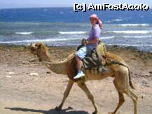[P04]  -- <small>// FĂRĂ DESCRIERE</small> » foto by terente333
 - 
<span class="allrVoted glyphicon glyphicon-heart hidden" id="av6820"></span>
<a class="m-l-10 hidden" id="sv6820" onclick="voting_Foto_DelVot(,6820,2241)" role="button">șterge vot <span class="glyphicon glyphicon-remove"></span></a>
<a id="v96820" class=" c-red"  onclick="voting_Foto_SetVot(6820)" role="button"><span class="glyphicon glyphicon-heart-empty"></span> <b>LIKE</b> = Votează poza</a> <img class="hidden"  id="f6820W9" src="/imagini/loader.gif" border="0" /><span class="AjErrMes hidden" id="e6820ErM"></span>