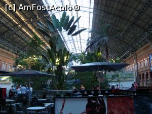 [P72] Madrid -gara Atocha de unde am luat trenul spre Toledo » foto by mireille
 - 
<span class="allrVoted glyphicon glyphicon-heart hidden" id="av731280"></span>
<a class="m-l-10 hidden" id="sv731280" onclick="voting_Foto_DelVot(,731280,2242)" role="button">șterge vot <span class="glyphicon glyphicon-remove"></span></a>
<a id="v9731280" class=" c-red"  onclick="voting_Foto_SetVot(731280)" role="button"><span class="glyphicon glyphicon-heart-empty"></span> <b>LIKE</b> = Votează poza</a> <img class="hidden"  id="f731280W9" src="/imagini/loader.gif" border="0" /><span class="AjErrMes hidden" id="e731280ErM"></span>