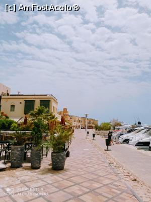 [P26] In Abu Tig Marina. » foto by Rodel
 - 
<span class="allrVoted glyphicon glyphicon-heart hidden" id="av1301602"></span>
<a class="m-l-10 hidden" id="sv1301602" onclick="voting_Foto_DelVot(,1301602,2250)" role="button">șterge vot <span class="glyphicon glyphicon-remove"></span></a>
<a id="v91301602" class=" c-red"  onclick="voting_Foto_SetVot(1301602)" role="button"><span class="glyphicon glyphicon-heart-empty"></span> <b>LIKE</b> = Votează poza</a> <img class="hidden"  id="f1301602W9" src="/imagini/loader.gif" border="0" /><span class="AjErrMes hidden" id="e1301602ErM"></span>