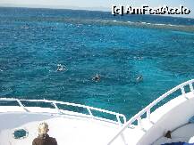 [P19] la snorkeling in marea rosie » foto by ghecamelia
 - 
<span class="allrVoted glyphicon glyphicon-heart hidden" id="av46173"></span>
<a class="m-l-10 hidden" id="sv46173" onclick="voting_Foto_DelVot(,46173,2250)" role="button">șterge vot <span class="glyphicon glyphicon-remove"></span></a>
<a id="v946173" class=" c-red"  onclick="voting_Foto_SetVot(46173)" role="button"><span class="glyphicon glyphicon-heart-empty"></span> <b>LIKE</b> = Votează poza</a> <img class="hidden"  id="f46173W9" src="/imagini/loader.gif" border="0" /><span class="AjErrMes hidden" id="e46173ErM"></span>