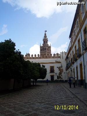 [P17] La Giralda vazuta din Patio de Banderas.  » foto by alinaro
 - 
<span class="allrVoted glyphicon glyphicon-heart hidden" id="av571854"></span>
<a class="m-l-10 hidden" id="sv571854" onclick="voting_Foto_DelVot(,571854,2251)" role="button">șterge vot <span class="glyphicon glyphicon-remove"></span></a>
<a id="v9571854" class=" c-red"  onclick="voting_Foto_SetVot(571854)" role="button"><span class="glyphicon glyphicon-heart-empty"></span> <b>LIKE</b> = Votează poza</a> <img class="hidden"  id="f571854W9" src="/imagini/loader.gif" border="0" /><span class="AjErrMes hidden" id="e571854ErM"></span>