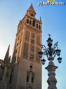 [P10] din nou giralda » foto by Cristian_h
 - 
<span class="allrVoted glyphicon glyphicon-heart hidden" id="av6955"></span>
<a class="m-l-10 hidden" id="sv6955" onclick="voting_Foto_DelVot(,6955,2251)" role="button">șterge vot <span class="glyphicon glyphicon-remove"></span></a>
<a id="v96955" class=" c-red"  onclick="voting_Foto_SetVot(6955)" role="button"><span class="glyphicon glyphicon-heart-empty"></span> <b>LIKE</b> = Votează poza</a> <img class="hidden"  id="f6955W9" src="/imagini/loader.gif" border="0" /><span class="AjErrMes hidden" id="e6955ErM"></span>