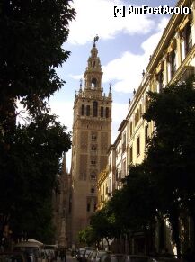 [P02] giralda » foto by Cristian_h
 - 
<span class="allrVoted glyphicon glyphicon-heart hidden" id="av6947"></span>
<a class="m-l-10 hidden" id="sv6947" onclick="voting_Foto_DelVot(,6947,2251)" role="button">șterge vot <span class="glyphicon glyphicon-remove"></span></a>
<a id="v96947" class=" c-red"  onclick="voting_Foto_SetVot(6947)" role="button"><span class="glyphicon glyphicon-heart-empty"></span> <b>LIKE</b> = Votează poza</a> <img class="hidden"  id="f6947W9" src="/imagini/loader.gif" border="0" /><span class="AjErrMes hidden" id="e6947ErM"></span>