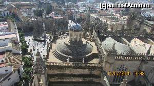 [P62] Sevilla vazuta din Giralda » foto by crismis
 - 
<span class="allrVoted glyphicon glyphicon-heart hidden" id="av599221"></span>
<a class="m-l-10 hidden" id="sv599221" onclick="voting_Foto_DelVot(,599221,2251)" role="button">șterge vot <span class="glyphicon glyphicon-remove"></span></a>
<a id="v9599221" class=" c-red"  onclick="voting_Foto_SetVot(599221)" role="button"><span class="glyphicon glyphicon-heart-empty"></span> <b>LIKE</b> = Votează poza</a> <img class="hidden"  id="f599221W9" src="/imagini/loader.gif" border="0" /><span class="AjErrMes hidden" id="e599221ErM"></span>