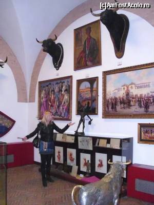 [P15] Muzeul de la Plaza de Toros » foto by Artana
 - 
<span class="allrVoted glyphicon glyphicon-heart hidden" id="av566640"></span>
<a class="m-l-10 hidden" id="sv566640" onclick="voting_Foto_DelVot(,566640,2251)" role="button">șterge vot <span class="glyphicon glyphicon-remove"></span></a>
<a id="v9566640" class=" c-red"  onclick="voting_Foto_SetVot(566640)" role="button"><span class="glyphicon glyphicon-heart-empty"></span> <b>LIKE</b> = Votează poza</a> <img class="hidden"  id="f566640W9" src="/imagini/loader.gif" border="0" /><span class="AjErrMes hidden" id="e566640ErM"></span>