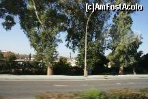[P33] Puente del V Centenario vazut printre copacii de pe Avenida de Jerez » foto by Costi
 - 
<span class="allrVoted glyphicon glyphicon-heart hidden" id="av186872"></span>
<a class="m-l-10 hidden" id="sv186872" onclick="voting_Foto_DelVot(,186872,2251)" role="button">șterge vot <span class="glyphicon glyphicon-remove"></span></a>
<a id="v9186872" class=" c-red"  onclick="voting_Foto_SetVot(186872)" role="button"><span class="glyphicon glyphicon-heart-empty"></span> <b>LIKE</b> = Votează poza</a> <img class="hidden"  id="f186872W9" src="/imagini/loader.gif" border="0" /><span class="AjErrMes hidden" id="e186872ErM"></span>