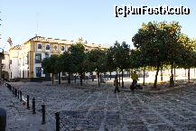 [P15] Patio de Banderas, cu portocali cu fructele gata de cules » foto by Costi
 - 
<span class="allrVoted glyphicon glyphicon-heart hidden" id="av196086"></span>
<a class="m-l-10 hidden" id="sv196086" onclick="voting_Foto_DelVot(,196086,2251)" role="button">șterge vot <span class="glyphicon glyphicon-remove"></span></a>
<a id="v9196086" class=" c-red"  onclick="voting_Foto_SetVot(196086)" role="button"><span class="glyphicon glyphicon-heart-empty"></span> <b>LIKE</b> = Votează poza</a> <img class="hidden"  id="f196086W9" src="/imagini/loader.gif" border="0" /><span class="AjErrMes hidden" id="e196086ErM"></span>