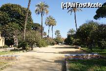 [P05] O imagine din Los Jardines de Murillo » foto by Costi
 - 
<span class="allrVoted glyphicon glyphicon-heart hidden" id="av196076"></span>
<a class="m-l-10 hidden" id="sv196076" onclick="voting_Foto_DelVot(,196076,2251)" role="button">șterge vot <span class="glyphicon glyphicon-remove"></span></a>
<a id="v9196076" class=" c-red"  onclick="voting_Foto_SetVot(196076)" role="button"><span class="glyphicon glyphicon-heart-empty"></span> <b>LIKE</b> = Votează poza</a> <img class="hidden"  id="f196076W9" src="/imagini/loader.gif" border="0" /><span class="AjErrMes hidden" id="e196076ErM"></span>