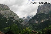 [P1x] panorama din grindelwald » foto by mariana
 - 
<span class="allrVoted glyphicon glyphicon-heart hidden" id="av6968"></span>
<a class="m-l-10 hidden" id="sv6968" onclick="voting_Foto_DelVot(,6968,2252)" role="button">șterge vot <span class="glyphicon glyphicon-remove"></span></a>
<a id="v96968" class=" c-red"  onclick="voting_Foto_SetVot(6968)" role="button"><span class="glyphicon glyphicon-heart-empty"></span> <b>LIKE</b> = Votează poza</a> <img class="hidden"  id="f6968W9" src="/imagini/loader.gif" border="0" /><span class="AjErrMes hidden" id="e6968ErM"></span>