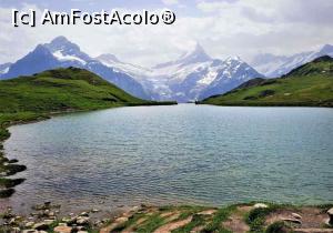 [P12] Lacul Bachalpsee și masivul Wetterhorn în fundal » foto by BOGDAN DSN
 - 
<span class="allrVoted glyphicon glyphicon-heart hidden" id="av1336394"></span>
<a class="m-l-10 hidden" id="sv1336394" onclick="voting_Foto_DelVot(,1336394,2252)" role="button">șterge vot <span class="glyphicon glyphicon-remove"></span></a>
<a id="v91336394" class=" c-red"  onclick="voting_Foto_SetVot(1336394)" role="button"><span class="glyphicon glyphicon-heart-empty"></span> <b>LIKE</b> = Votează poza</a> <img class="hidden"  id="f1336394W9" src="/imagini/loader.gif" border="0" /><span class="AjErrMes hidden" id="e1336394ErM"></span>