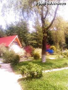 [P18] Gradina ca in povesti, nu? » foto by maria popescu*
 - 
<span class="allrVoted glyphicon glyphicon-heart hidden" id="av212143"></span>
<a class="m-l-10 hidden" id="sv212143" onclick="voting_Foto_DelVot(,212143,2271)" role="button">șterge vot <span class="glyphicon glyphicon-remove"></span></a>
<a id="v9212143" class=" c-red"  onclick="voting_Foto_SetVot(212143)" role="button"><span class="glyphicon glyphicon-heart-empty"></span> <b>LIKE</b> = Votează poza</a> <img class="hidden"  id="f212143W9" src="/imagini/loader.gif" border="0" /><span class="AjErrMes hidden" id="e212143ErM"></span>