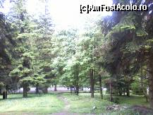 [P20]  -- <small>// FĂRĂ DESCRIERE</small> » foto by maria popescu*
 - 
<span class="allrVoted glyphicon glyphicon-heart hidden" id="av212145"></span>
<a class="m-l-10 hidden" id="sv212145" onclick="voting_Foto_DelVot(,212145,2271)" role="button">șterge vot <span class="glyphicon glyphicon-remove"></span></a>
<a id="v9212145" class=" c-red"  onclick="voting_Foto_SetVot(212145)" role="button"><span class="glyphicon glyphicon-heart-empty"></span> <b>LIKE</b> = Votează poza</a> <img class="hidden"  id="f212145W9" src="/imagini/loader.gif" border="0" /><span class="AjErrMes hidden" id="e212145ErM"></span>