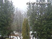 [P01] Priveliste de pe balconul hotelului. » foto by fdruziuc
 - 
<span class="allrVoted glyphicon glyphicon-heart hidden" id="av7578"></span>
<a class="m-l-10 hidden" id="sv7578" onclick="voting_Foto_DelVot(,7578,2272)" role="button">șterge vot <span class="glyphicon glyphicon-remove"></span></a>
<a id="v97578" class=" c-red"  onclick="voting_Foto_SetVot(7578)" role="button"><span class="glyphicon glyphicon-heart-empty"></span> <b>LIKE</b> = Votează poza</a> <img class="hidden"  id="f7578W9" src="/imagini/loader.gif" border="0" /><span class="AjErrMes hidden" id="e7578ErM"></span>
