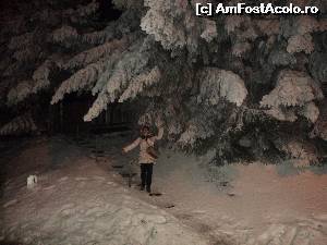 [P03] Hotelul Ciucas trei stele din Tusnad - O mica plimbare spre partia de ski. Asta era pe la ora 22,15!  » foto by vega06
 - 
<span class="allrVoted glyphicon glyphicon-heart hidden" id="av582790"></span>
<a class="m-l-10 hidden" id="sv582790" onclick="voting_Foto_DelVot(,582790,2272)" role="button">șterge vot <span class="glyphicon glyphicon-remove"></span></a>
<a id="v9582790" class=" c-red"  onclick="voting_Foto_SetVot(582790)" role="button"><span class="glyphicon glyphicon-heart-empty"></span> <b>LIKE</b> = Votează poza</a> <img class="hidden"  id="f582790W9" src="/imagini/loader.gif" border="0" /><span class="AjErrMes hidden" id="e582790ErM"></span>