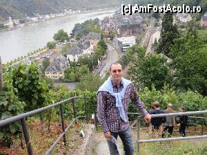 [P04] Printre vii, pe cararea care urca la Burg Rheinfels. In spate se afla St. Goar » foto by ciprian.dima
 - 
<span class="allrVoted glyphicon glyphicon-heart hidden" id="av377897"></span>
<a class="m-l-10 hidden" id="sv377897" onclick="voting_Foto_DelVot(,377897,2278)" role="button">șterge vot <span class="glyphicon glyphicon-remove"></span></a>
<a id="v9377897" class=" c-red"  onclick="voting_Foto_SetVot(377897)" role="button"><span class="glyphicon glyphicon-heart-empty"></span> <b>LIKE</b> = Votează poza</a> <img class="hidden"  id="f377897W9" src="/imagini/loader.gif" border="0" /><span class="AjErrMes hidden" id="e377897ErM"></span>