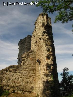 [P16] Ruinele fostului castel Drachenfels » foto by Radu Tudoran
 - 
<span class="allrVoted glyphicon glyphicon-heart hidden" id="av796127"></span>
<a class="m-l-10 hidden" id="sv796127" onclick="voting_Foto_DelVot(,796127,2278)" role="button">șterge vot <span class="glyphicon glyphicon-remove"></span></a>
<a id="v9796127" class=" c-red"  onclick="voting_Foto_SetVot(796127)" role="button"><span class="glyphicon glyphicon-heart-empty"></span> <b>LIKE</b> = Votează poza</a> <img class="hidden"  id="f796127W9" src="/imagini/loader.gif" border="0" /><span class="AjErrMes hidden" id="e796127ErM"></span>