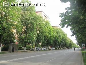 [P08] Bulevardul Dacia pe care se găseşte hotelul Rusca » foto by krondia*
 - 
<span class="allrVoted glyphicon glyphicon-heart hidden" id="av853081"></span>
<a class="m-l-10 hidden" id="sv853081" onclick="voting_Foto_DelVot(,853081,2279)" role="button">șterge vot <span class="glyphicon glyphicon-remove"></span></a>
<a id="v9853081" class=" c-red"  onclick="voting_Foto_SetVot(853081)" role="button"><span class="glyphicon glyphicon-heart-empty"></span> <b>LIKE</b> = Votează poza</a> <img class="hidden"  id="f853081W9" src="/imagini/loader.gif" border="0" /><span class="AjErrMes hidden" id="e853081ErM"></span>