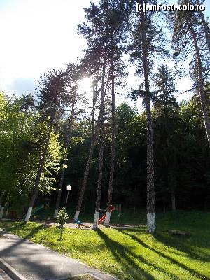 [P04] O zona din parculet » foto by Cleopatraa
 - 
<span class="allrVoted glyphicon glyphicon-heart hidden" id="av509311"></span>
<a class="m-l-10 hidden" id="sv509311" onclick="voting_Foto_DelVot(,509311,2284)" role="button">șterge vot <span class="glyphicon glyphicon-remove"></span></a>
<a id="v9509311" class=" c-red"  onclick="voting_Foto_SetVot(509311)" role="button"><span class="glyphicon glyphicon-heart-empty"></span> <b>LIKE</b> = Votează poza</a> <img class="hidden"  id="f509311W9" src="/imagini/loader.gif" border="0" /><span class="AjErrMes hidden" id="e509311ErM"></span>