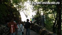 [P03]  -- <small>// FĂRĂ DESCRIERE</small> » foto by mariusz
 - 
<span class="allrVoted glyphicon glyphicon-heart hidden" id="av111385"></span>
<a class="m-l-10 hidden" id="sv111385" onclick="voting_Foto_DelVot(,111385,2287)" role="button">șterge vot <span class="glyphicon glyphicon-remove"></span></a>
<a id="v9111385" class=" c-red"  onclick="voting_Foto_SetVot(111385)" role="button"><span class="glyphicon glyphicon-heart-empty"></span> <b>LIKE</b> = Votează poza</a> <img class="hidden"  id="f111385W9" src="/imagini/loader.gif" border="0" /><span class="AjErrMes hidden" id="e111385ErM"></span>