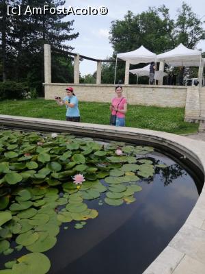 [P03] lacul cu nuferi » foto by papalito
 - 
<span class="allrVoted glyphicon glyphicon-heart hidden" id="av1239410"></span>
<a class="m-l-10 hidden" id="sv1239410" onclick="voting_Foto_DelVot(,1239410,2290)" role="button">șterge vot <span class="glyphicon glyphicon-remove"></span></a>
<a id="v91239410" class=" c-red"  onclick="voting_Foto_SetVot(1239410)" role="button"><span class="glyphicon glyphicon-heart-empty"></span> <b>LIKE</b> = Votează poza</a> <img class="hidden"  id="f1239410W9" src="/imagini/loader.gif" border="0" /><span class="AjErrMes hidden" id="e1239410ErM"></span>