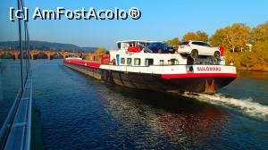 [P38] Moselle - cam așa ceva circulă pe râul ăsta...  » foto by Dragoș_MD
 - 
<span class="allrVoted glyphicon glyphicon-heart hidden" id="av1024270"></span>
<a class="m-l-10 hidden" id="sv1024270" onclick="voting_Foto_DelVot(,1024270,2302)" role="button">șterge vot <span class="glyphicon glyphicon-remove"></span></a>
<a id="v91024270" class=" c-red"  onclick="voting_Foto_SetVot(1024270)" role="button"><span class="glyphicon glyphicon-heart-empty"></span> <b>LIKE</b> = Votează poza</a> <img class="hidden"  id="f1024270W9" src="/imagini/loader.gif" border="0" /><span class="AjErrMes hidden" id="e1024270ErM"></span>