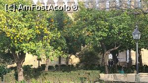 [P01] portocali și lămâi în curtea palatului regilor creștini din Cordoba » foto by geop
 - 
<span class="allrVoted glyphicon glyphicon-heart hidden" id="av1279518"></span>
<a class="m-l-10 hidden" id="sv1279518" onclick="voting_Foto_DelVot(,1279518,2304)" role="button">șterge vot <span class="glyphicon glyphicon-remove"></span></a>
<a id="v91279518" class=" c-red"  onclick="voting_Foto_SetVot(1279518)" role="button"><span class="glyphicon glyphicon-heart-empty"></span> <b>LIKE</b> = Votează poza</a> <img class="hidden"  id="f1279518W9" src="/imagini/loader.gif" border="0" /><span class="AjErrMes hidden" id="e1279518ErM"></span>