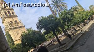 [P07] Curtea portocalilor, a Catedralei di Cordoba » foto by geop
 - 
<span class="allrVoted glyphicon glyphicon-heart hidden" id="av1279524"></span>
<a class="m-l-10 hidden" id="sv1279524" onclick="voting_Foto_DelVot(,1279524,2304)" role="button">șterge vot <span class="glyphicon glyphicon-remove"></span></a>
<a id="v91279524" class=" c-red"  onclick="voting_Foto_SetVot(1279524)" role="button"><span class="glyphicon glyphicon-heart-empty"></span> <b>LIKE</b> = Votează poza</a> <img class="hidden"  id="f1279524W9" src="/imagini/loader.gif" border="0" /><span class="AjErrMes hidden" id="e1279524ErM"></span>
