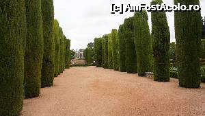 [P13]  -- <small>// FĂRĂ DESCRIERE</small> » foto by ania
 - 
<span class="allrVoted glyphicon glyphicon-heart hidden" id="av494149"></span>
<a class="m-l-10 hidden" id="sv494149" onclick="voting_Foto_DelVot(,494149,2304)" role="button">șterge vot <span class="glyphicon glyphicon-remove"></span></a>
<a id="v9494149" class=" c-red"  onclick="voting_Foto_SetVot(494149)" role="button"><span class="glyphicon glyphicon-heart-empty"></span> <b>LIKE</b> = Votează poza</a> <img class="hidden"  id="f494149W9" src="/imagini/loader.gif" border="0" /><span class="AjErrMes hidden" id="e494149ErM"></span>