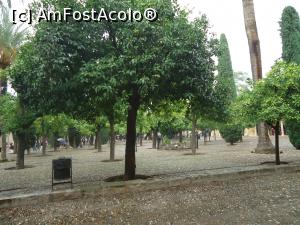 [P13] Curtea de portocali a catedralei... loc de odihna si contemplare » foto by VOIAJ
 - 
<span class="allrVoted glyphicon glyphicon-heart hidden" id="av1034857"></span>
<a class="m-l-10 hidden" id="sv1034857" onclick="voting_Foto_DelVot(,1034857,2304)" role="button">șterge vot <span class="glyphicon glyphicon-remove"></span></a>
<a id="v91034857" class=" c-red"  onclick="voting_Foto_SetVot(1034857)" role="button"><span class="glyphicon glyphicon-heart-empty"></span> <b>LIKE</b> = Votează poza</a> <img class="hidden"  id="f1034857W9" src="/imagini/loader.gif" border="0" /><span class="AjErrMes hidden" id="e1034857ErM"></span>