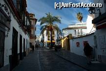 [P01] Straduta din Cordoba, vazute din Calle San Fernando, pe drumul spre Mezquita » foto by ariciu*
 - 
<span class="allrVoted glyphicon glyphicon-heart hidden" id="av494611"></span>
<a class="m-l-10 hidden" id="sv494611" onclick="voting_Foto_DelVot(,494611,2304)" role="button">șterge vot <span class="glyphicon glyphicon-remove"></span></a>
<a id="v9494611" class=" c-red"  onclick="voting_Foto_SetVot(494611)" role="button"><span class="glyphicon glyphicon-heart-empty"></span> <b>LIKE</b> = Votează poza</a> <img class="hidden"  id="f494611W9" src="/imagini/loader.gif" border="0" /><span class="AjErrMes hidden" id="e494611ErM"></span>